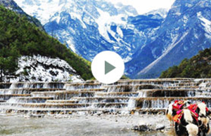 2017年德赢vwin科技团建-云南之旅